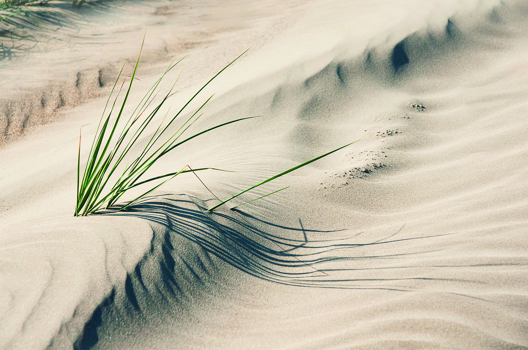 Aberffraw Dunes - Anglesey